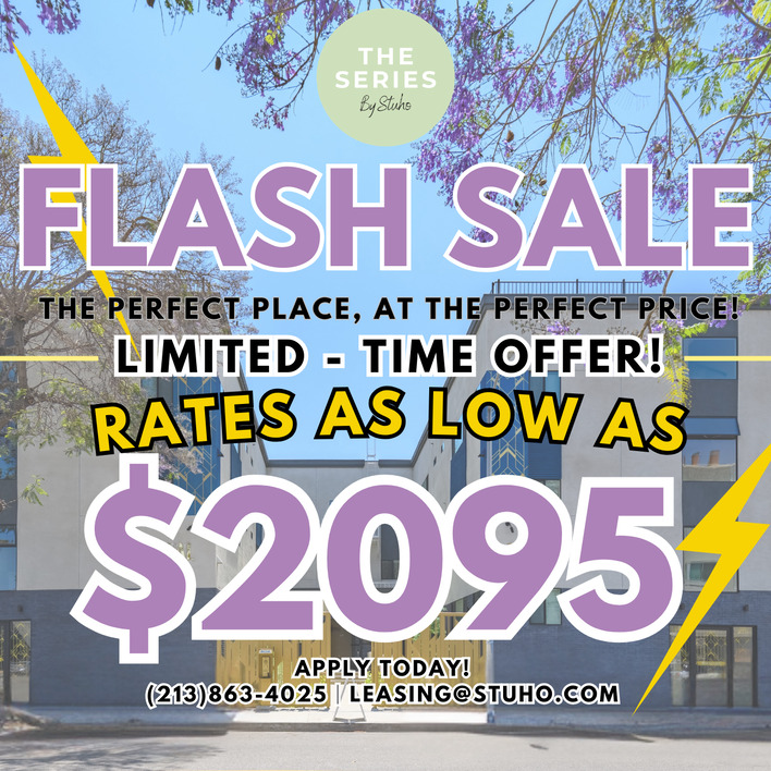 Flash Sale The Series