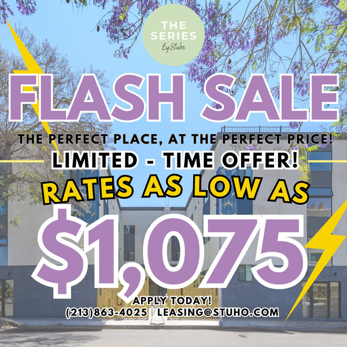 Flash Sale The Series